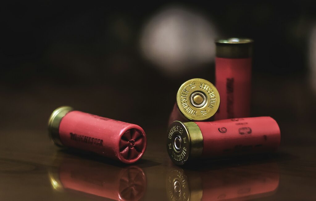 Shotgun shells